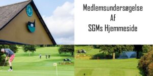 thumbnail of SGM – Webside undersøgelse