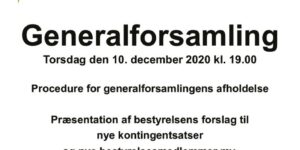 thumbnail of Bestyrelsens forslag til generalforsamlingen 10 december 2020
